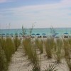 Beach through seagrass from pool area