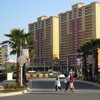 Calypso from Pier Park