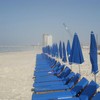 Beach Chairs and Umbrellas