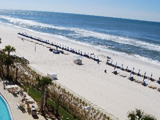 The Beach and Beach Rental Activities The Beach and Beach Rental Activities
